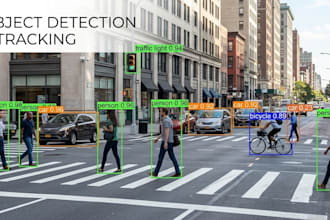 develop ai image processing and object detection systems