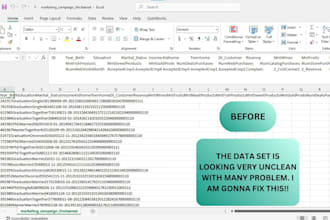 excel data cleaning at your service