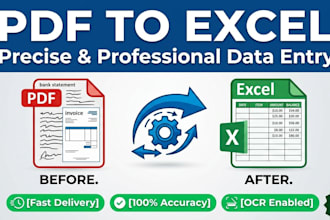 do accurate PDF to excel data entry and spreadsheet formatting