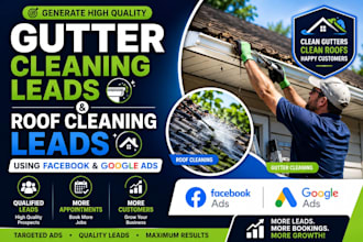 generate gutter cleaning leads and roof cleaning leads using ads campaign setup