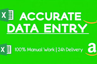 do fast and accurate data entry, copy paste and excel work, 24 hour services