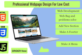 responsive website design html css js, web development, fix web problems