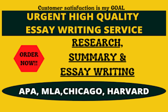 do essay writing as an essay writer