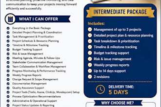 manage projects, teams, timelines and business operation