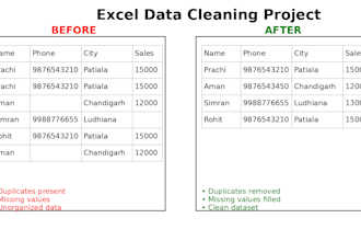 clean, format and organize excel data professionally