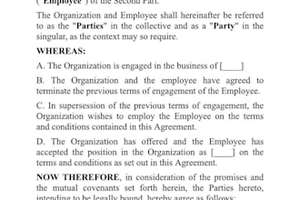 draft employment agreements, ndas, other business contracts