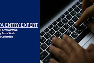 do professional data entry and cop