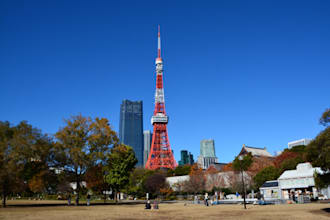translate english travel and tourism content into japanese