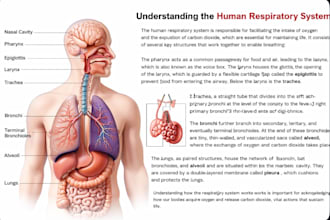 provide fast and accurate typing and transcription services