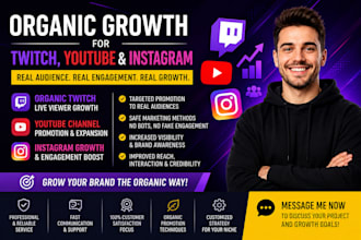 organically boost your twitch live viewers,youtube channel promotion,ig growth
