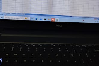 professional excel dashboard or report