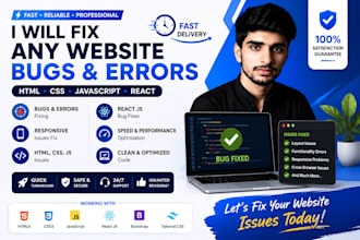 professionally fix website bugs, errors and frontend issues