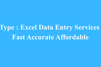 do excel data entry and organize your spreadsheet