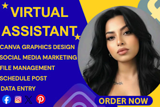 instagram assistant email assistant canva virtual assistant admin support