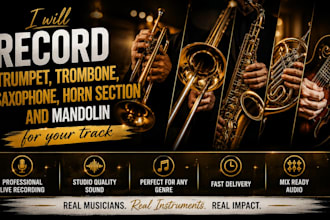 record trumpet, trombone, saxophone, horn section and mandolin for your track