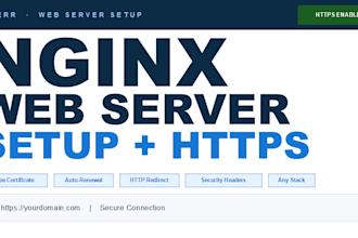 set up nginx web server and https for your application