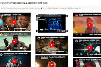 write a music video treatment for your song
