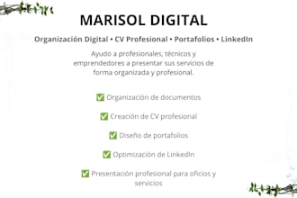 organize your business documents and google drive