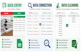 do accurate data entry, data correction and error finding