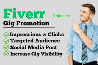promote your fiverr gig with targeted ads