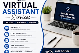do accurate data enrty,translate,excel , copy paste,power points  and word tasks