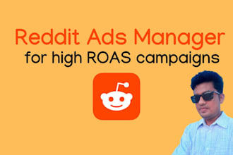be your reddit ads manager for high roas campaigns