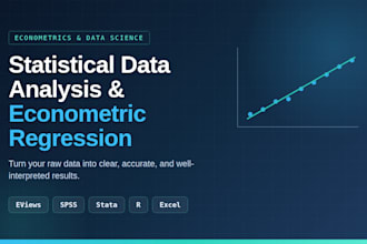 do statistical data analysis and econometric