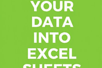 handle data entry, excel sheet