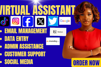 be instagram virtual assistant administrative assistant executive email manager