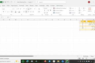 do excel data entry, data cleaning and spreadsheet formatting