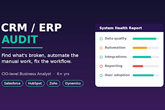 audit and optimize your CRM or erp system as a senior consultant