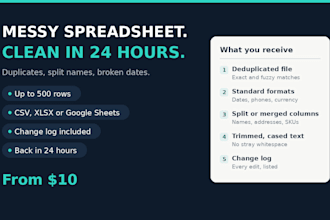 clean up and format your messy excel or csv spreadsheet in 24 hours
