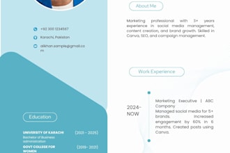 design professional resume in canva data entry for ms word