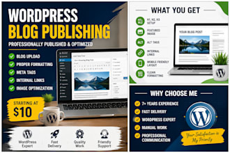 publish and optimize your blog post on wordpress