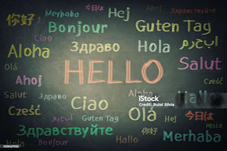 english to arabic translator for official documents