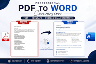 type PDF or scanned documents into word accurately