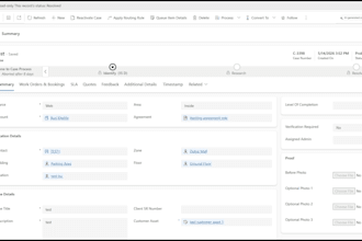 fix bugs and customize microsoft dynamics 365 CRM