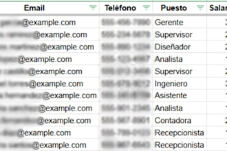 do excel data entry and cleanup in 24 hours