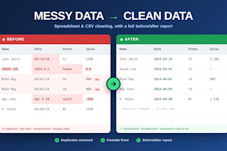 clean and format your messy excel or CSV data