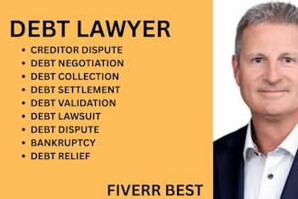 handle debt settlement disputes, debt enforcement matters, and creditor disputes