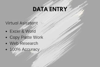 be your virtual assistant, data entry specialist, and fast typist