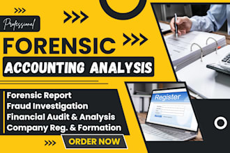 conduct forensic accounting, fraud detection, financial investigation, analysis