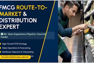 design an expert route to market and retail distribution strategy