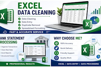 clean, format and organize excel data professionally