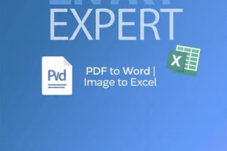 do fast hindi english typing, PDF to word, data entry work