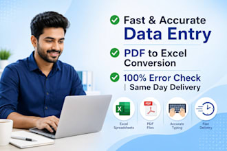 fast data entry, copy paste and PDF to excel conversion