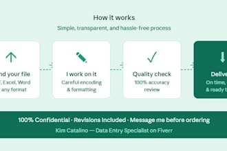 be your reliable data entry virtual assistant