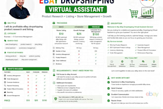 provide complete ebay dropshipping virtual assistant service