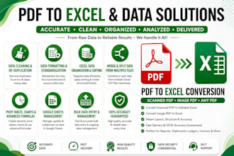 convert PDF to excel, scanned PDF to excel, data formatting and cleaning