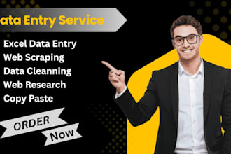 split, marge, format, data cleaning with accurate data entry